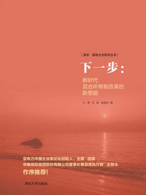 cover image of 混改下一步:新时代混合所有制改革的新思路